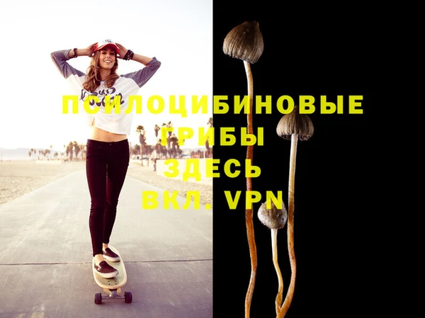 первитин Бикин