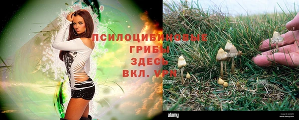 скорость Белокуриха