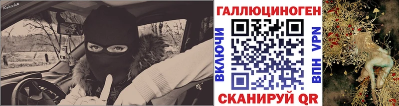 Псилоцибиновые грибы Psilocybine cubensis  закладка  Ворсма 
